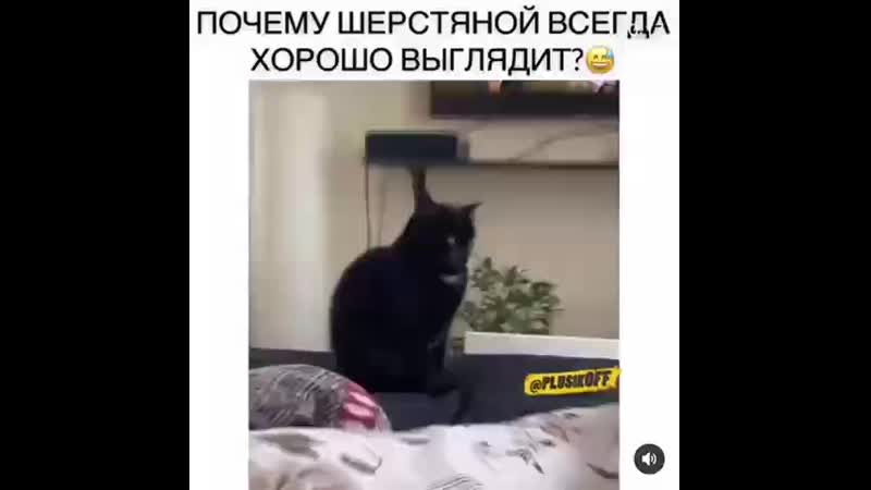 VID_24210905_231724_386.mp4