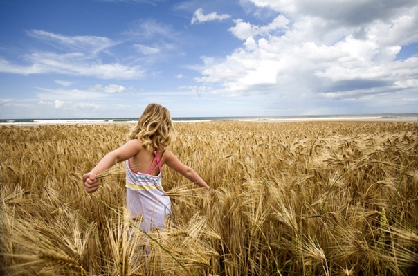 Мужчина в поле. Женщины в поле. Мужчина в пшеничном поле. Поле дорога человек. Человек в поле на закате.