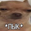 Даша Кузнецова, Москва