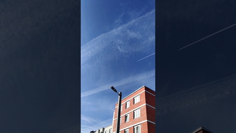 подслушано в кимовске светлая сторона