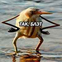 Фотография Ды Нета ВКонтакте
